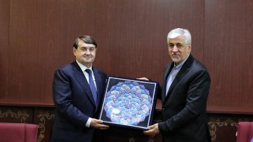 دیدار+معاون+رییس+جمهور+فدراسیون+روسیه+با+وزیر+ورزش+و+جوانان