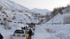 139312171815041694885334