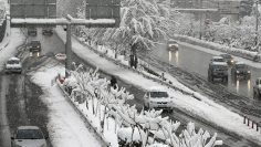 d8aad8b5d8a7d988db8cd8b1-d8aedb8cd8a7d8a8d8a7d986d987d8a7db8c-d985d8b9d8b1d988d981-d8aad987d8b1d8a7d986-d982d8afdb8cd985-d8afd8b1_63d9df32cdb9e-580×487