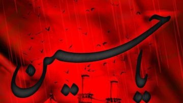 IMG_20230725_103421_797