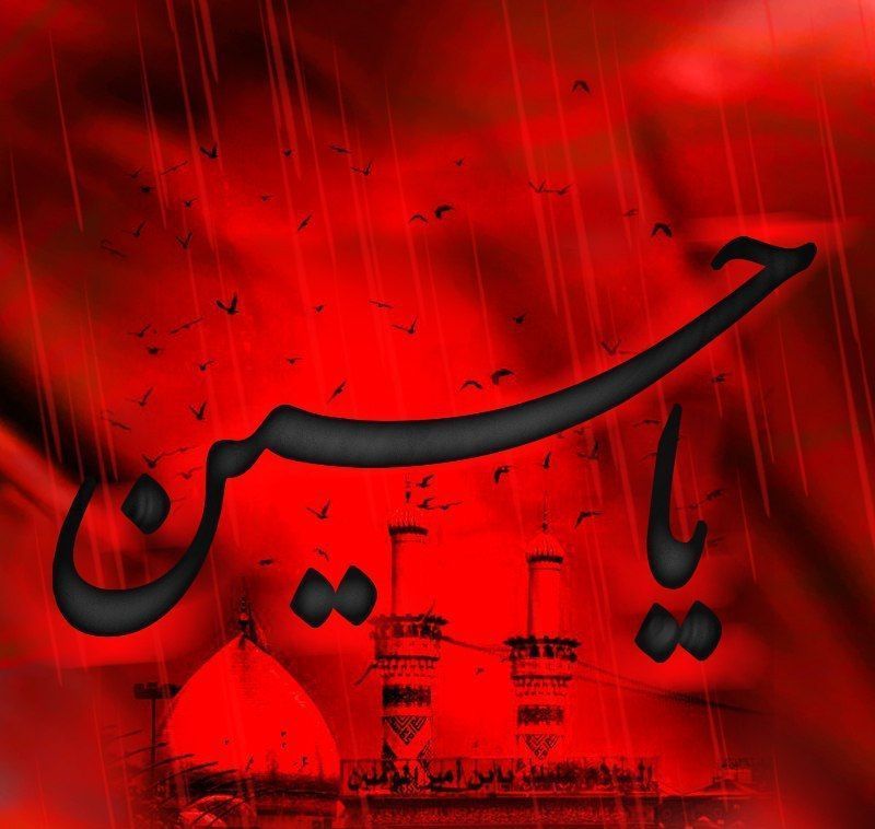 IMG_20230725_103421_797