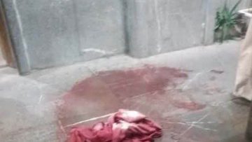 IMG_20230813_215435_997