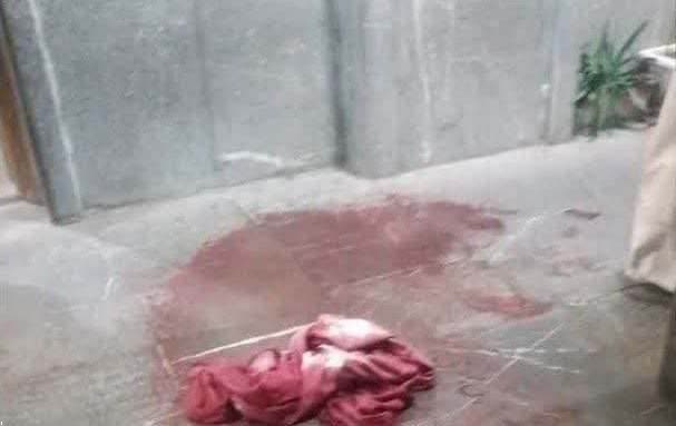 IMG_20230813_215435_997