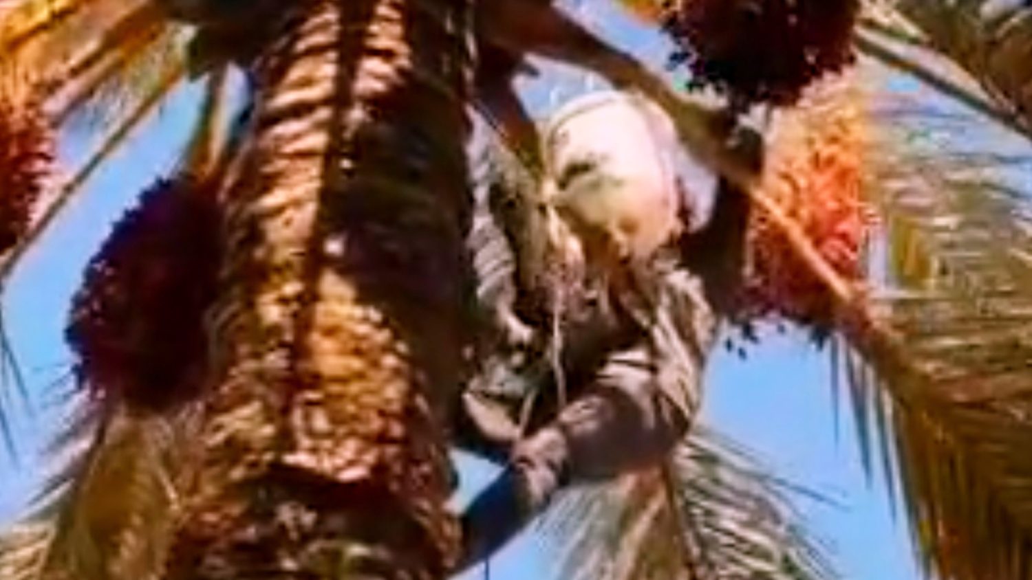 InShot_۲۰۲۳۰۸۰۴_۱۴۱۹۵۶۶۱۳