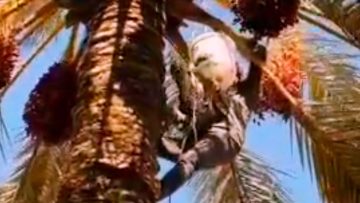 InShot_۲۰۲۳۰۸۰۴_۱۴۱۹۵۶۶۱۳