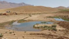 VideoCapture_۲۰۲۳۰۸۲۸-۱۰۰۳۳۱