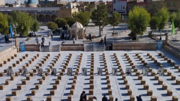 14020628000594_Test_PhotoN