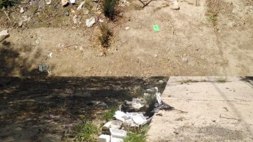 IMG_20230902_175523_435