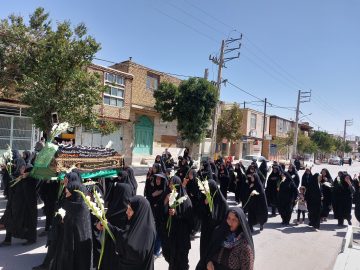 IMG_20230916_193020_237